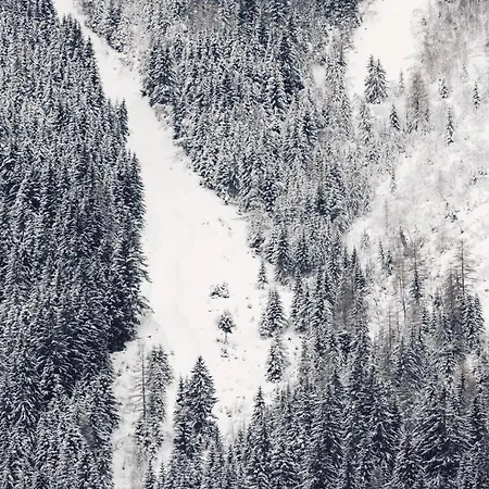 Sima-apartments Daire